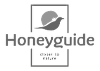 Honeyguide logo
