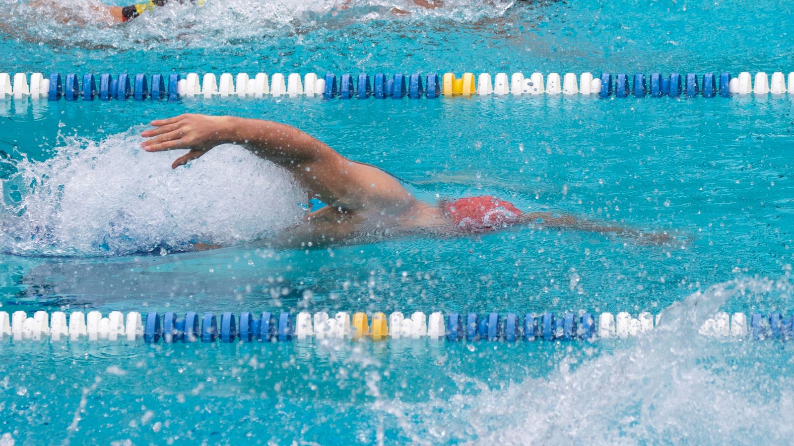 Swimmers racing freestyle in lanes, seen from overhead, with a swimmer in a red cap in the centre lane
