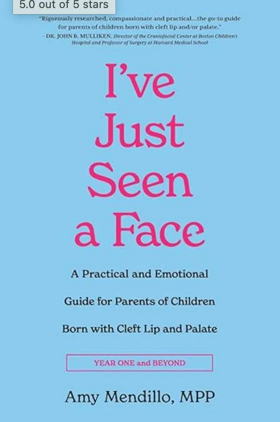 I’ve Just Seen a Face: A Practical and Emotional Guide for Parents of Children Born with Cleft Lip and Palate (Year One and Beyond) by Amy Mendillo