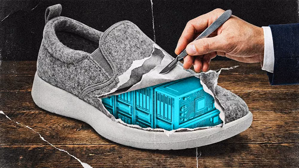 TEST Allbirds Shoes is Now an AI Company
