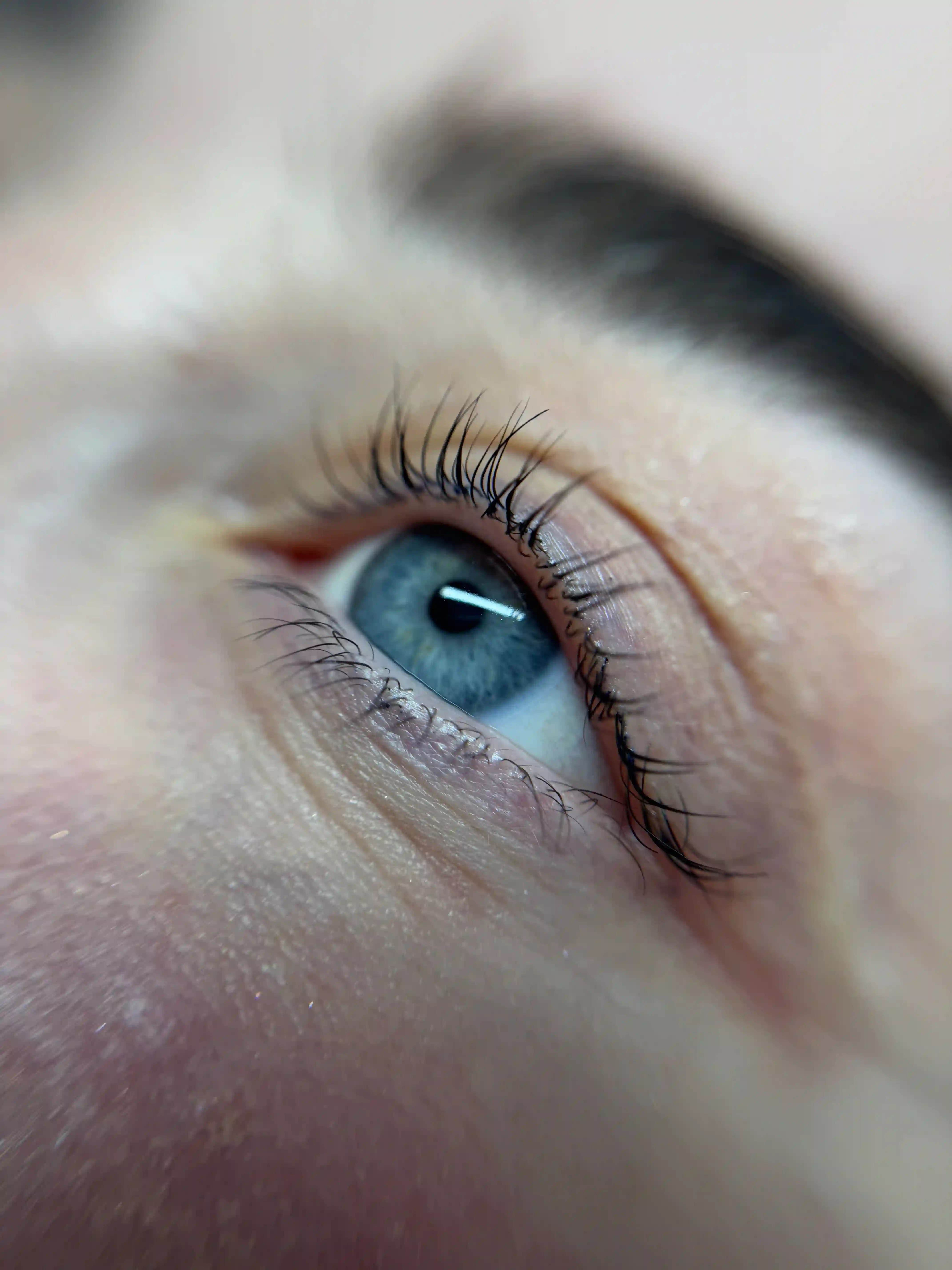 Lash lift and tint result