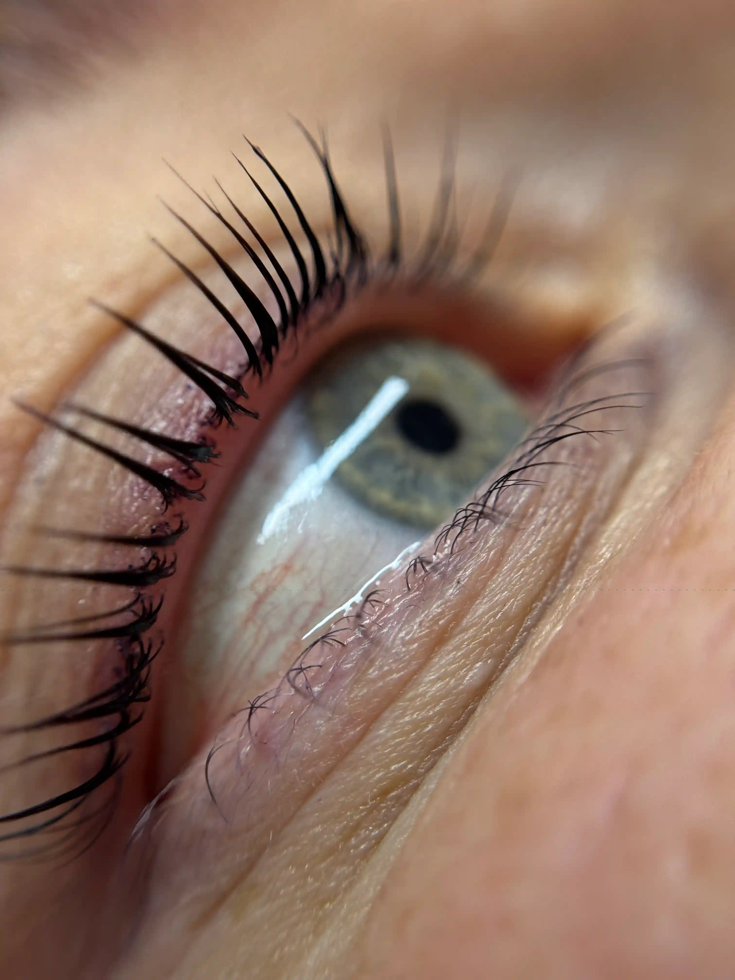 Beautifully lifted natural lashes