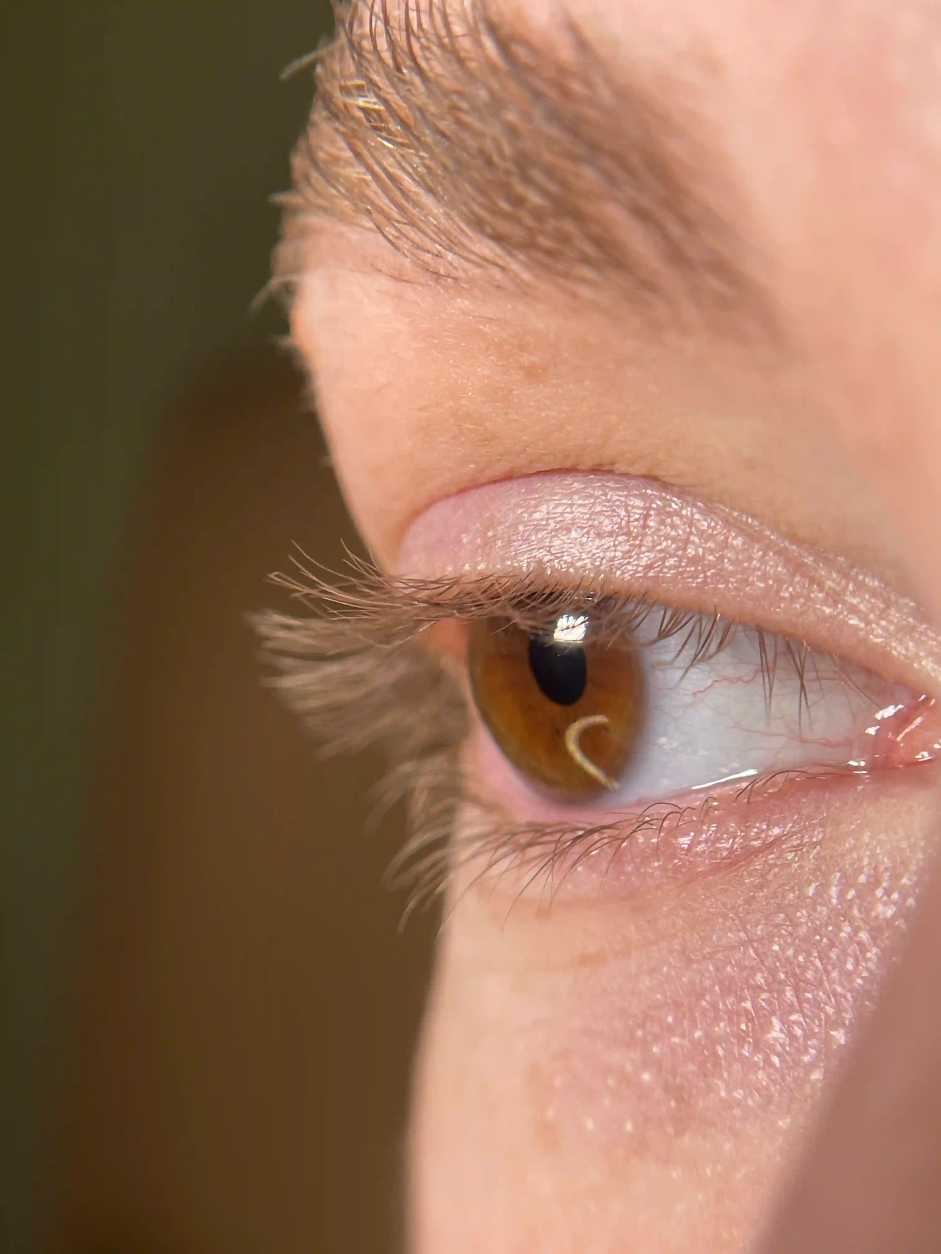 Defined lashes with lash lift and tint