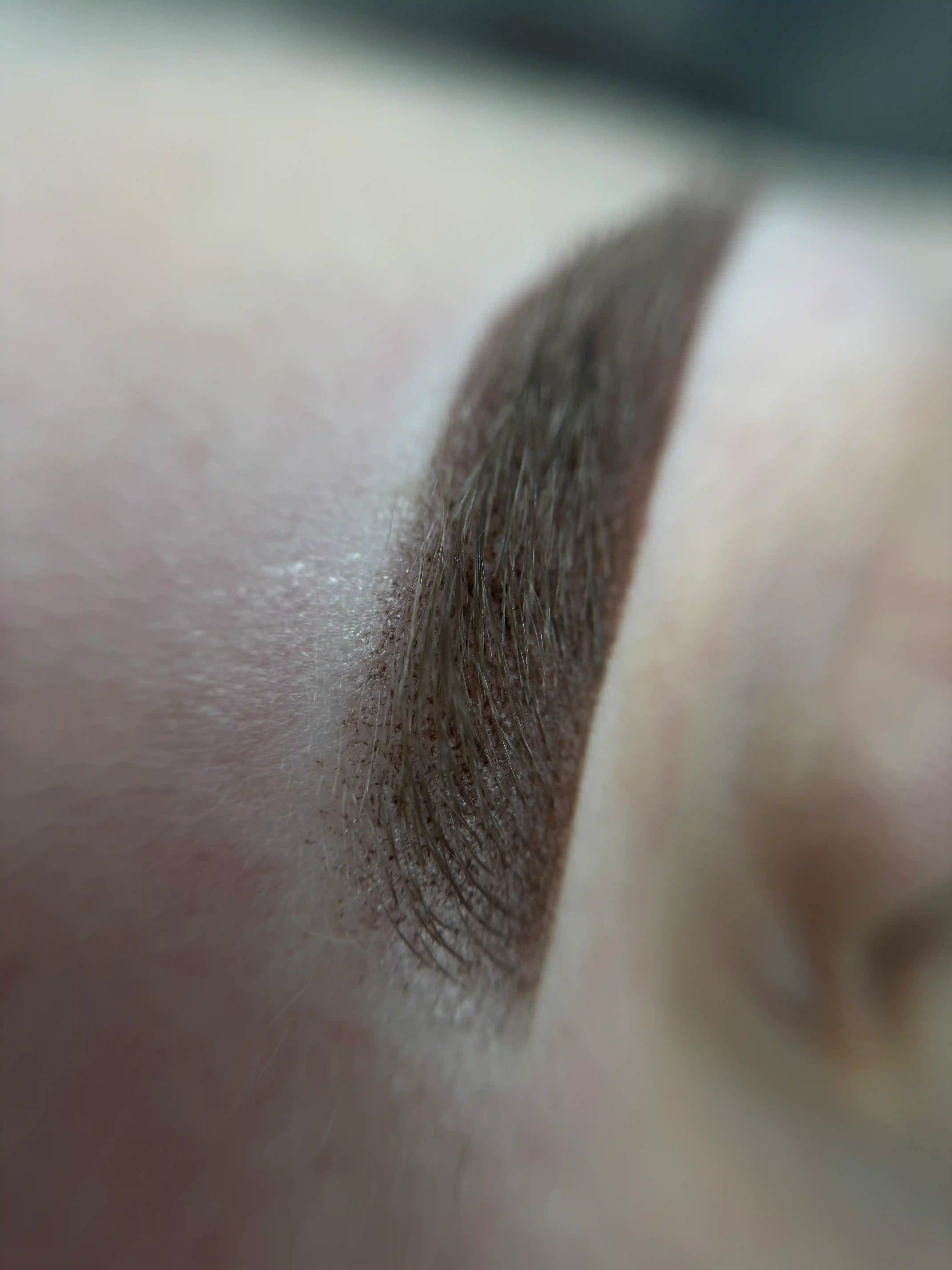 Powder brows permanent makeup result
