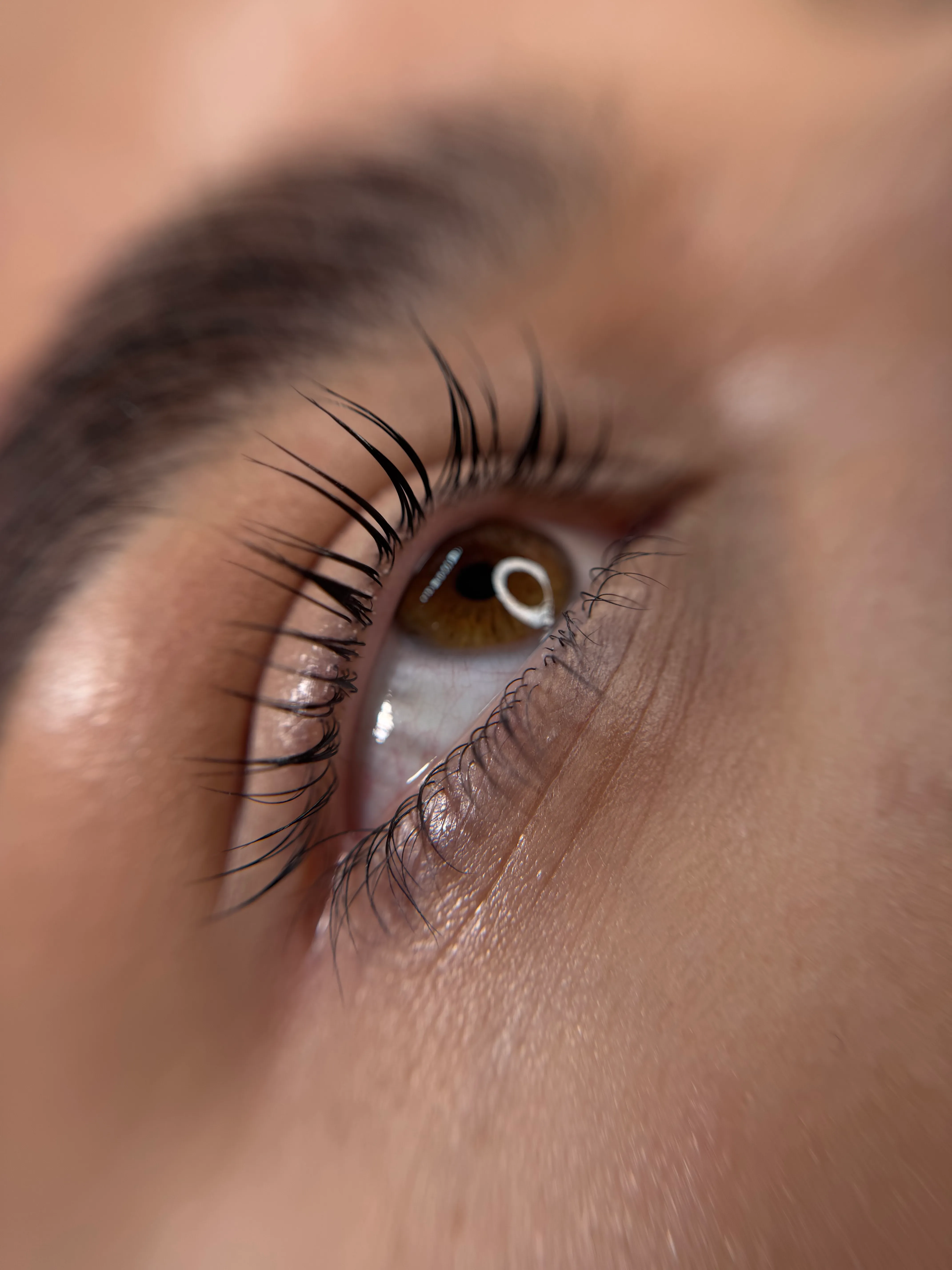 Lash Lift and Tint