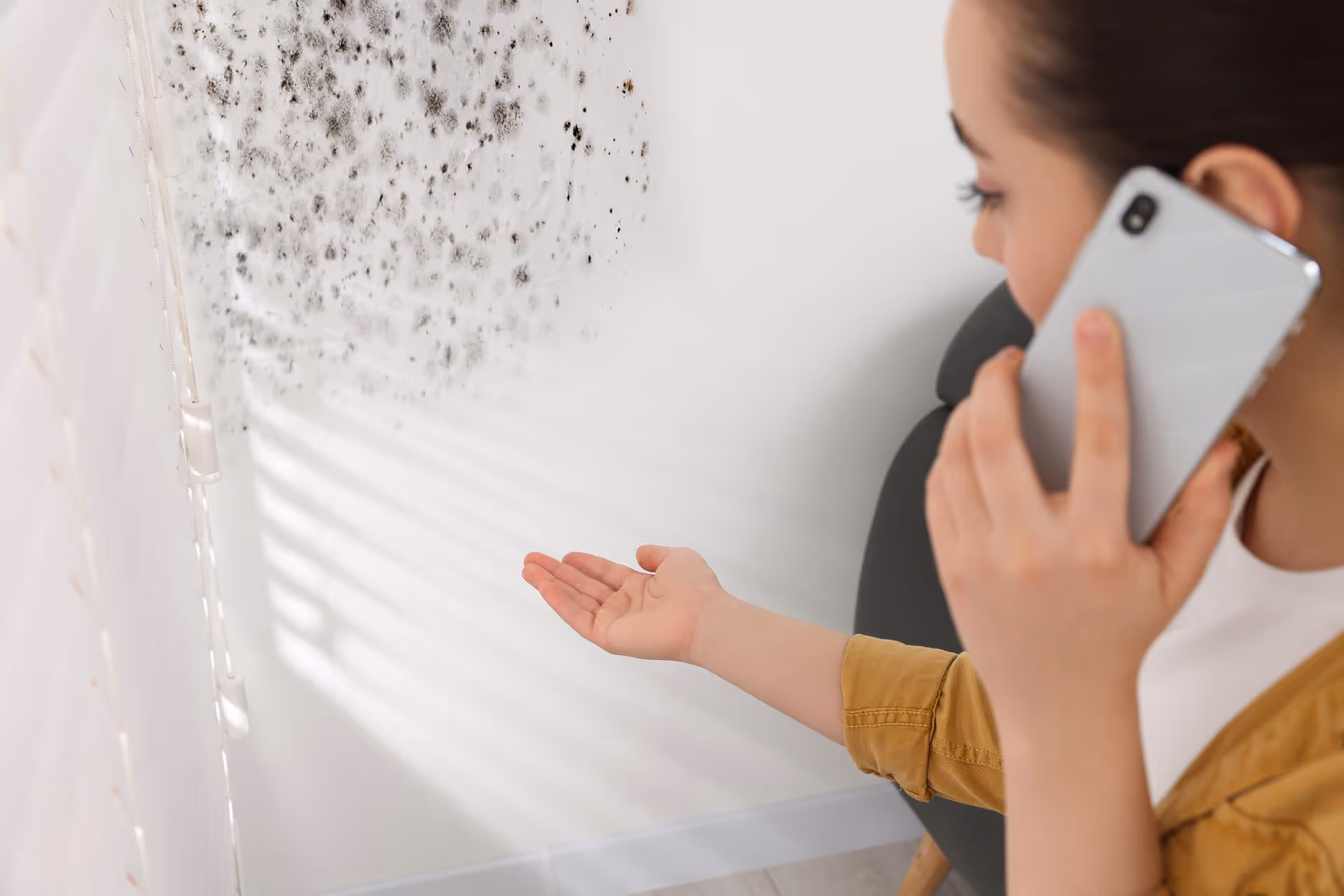 GoDry Chicago mold remediation services