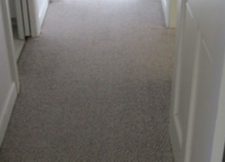 GoDry Chicago carpet restoration services