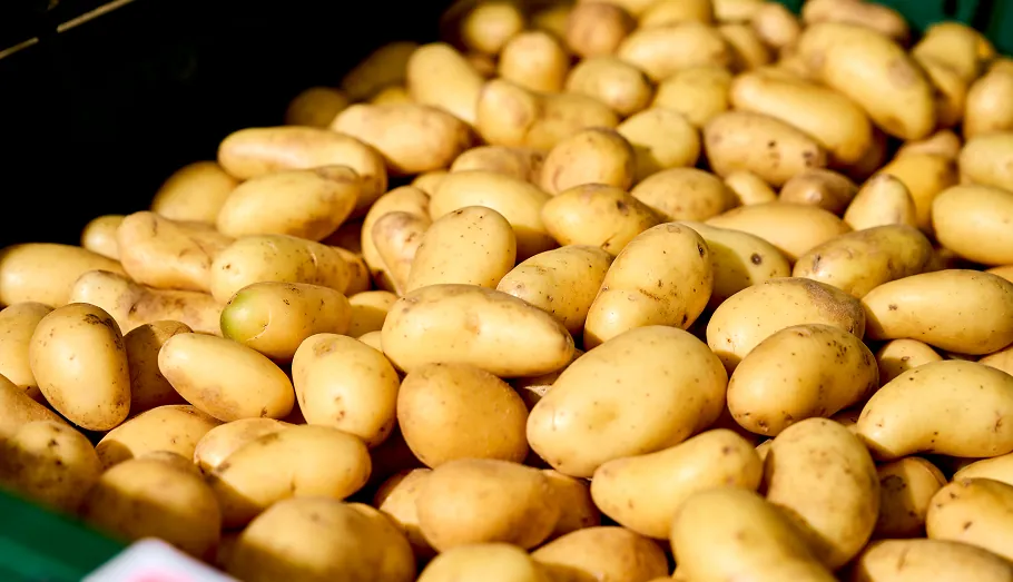 Verse aardappelen in kratten bij Heerkens Vers