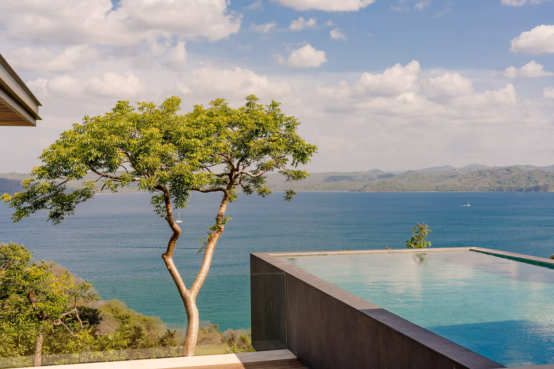 Villa Enoki infinity pool with tree and ocean