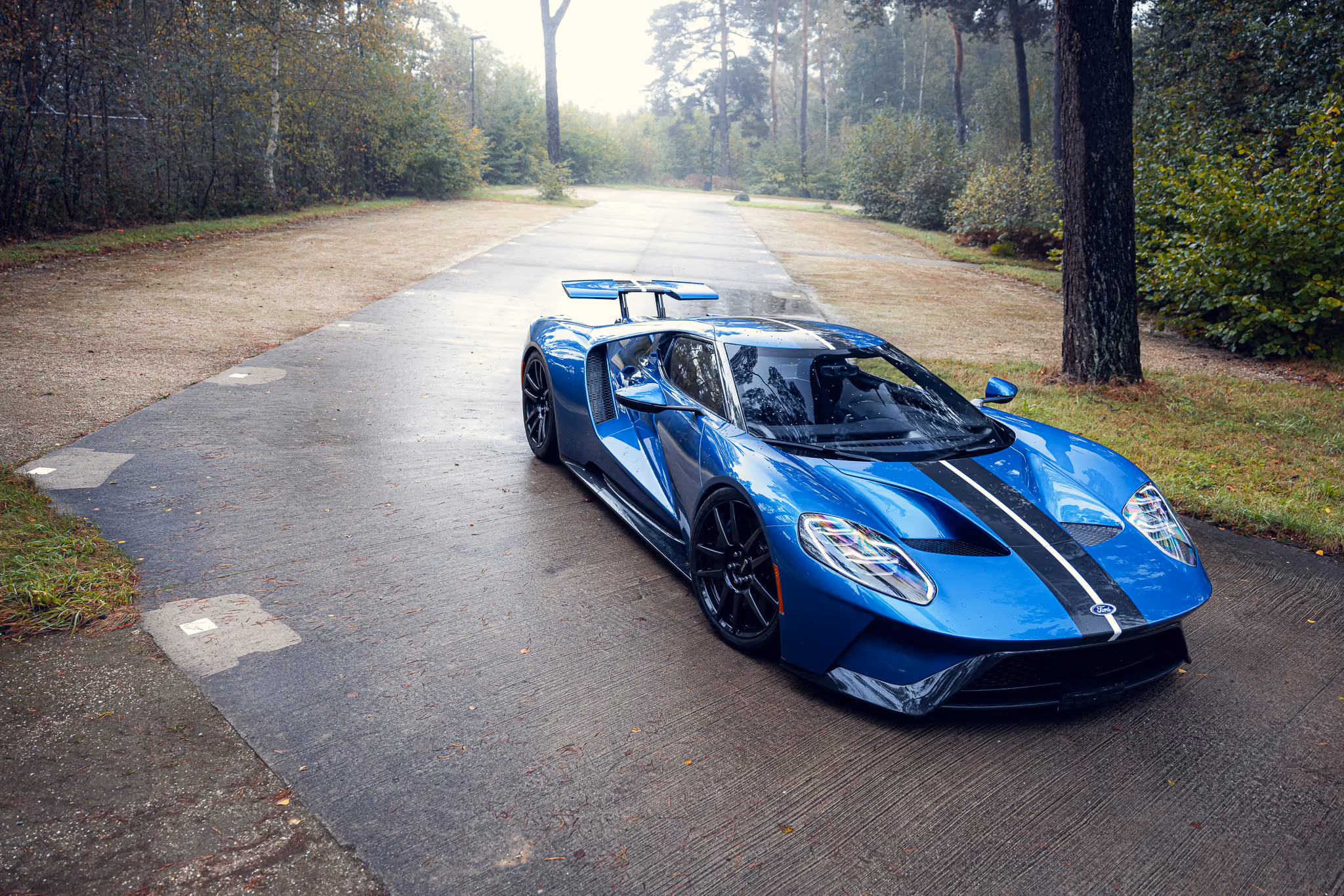 Blauwe Ford GT sportauto met zwarte strepen geparkeerd op een weg in een bosrijke omgeving.