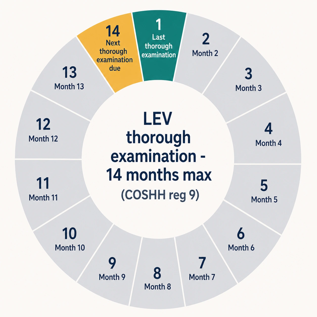 Annual cycle visual showing the 14-month LEV thorough examination requirement under COSHH