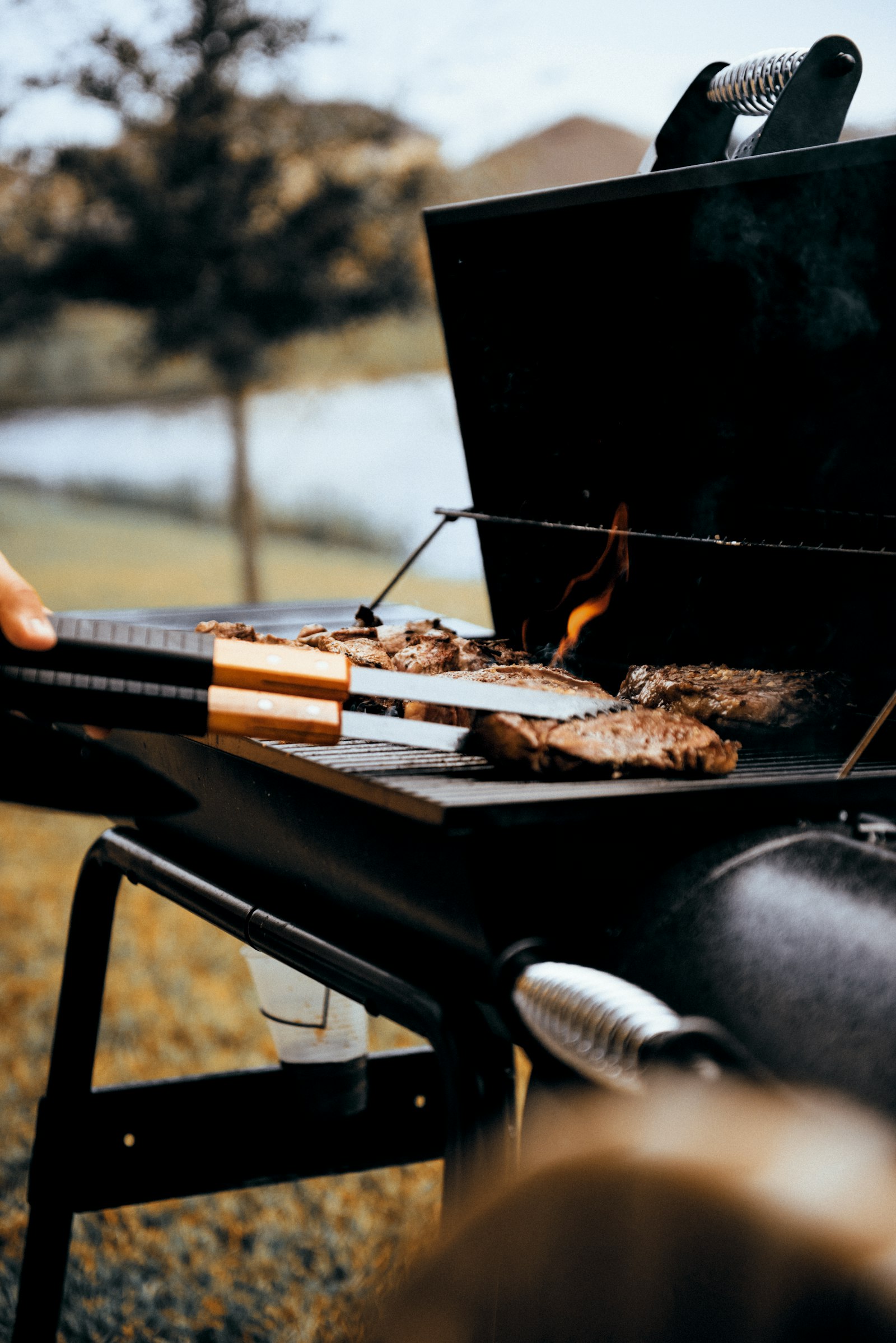 Animation barbecue