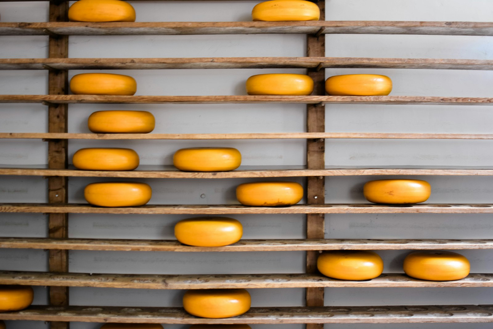Animation raclette
