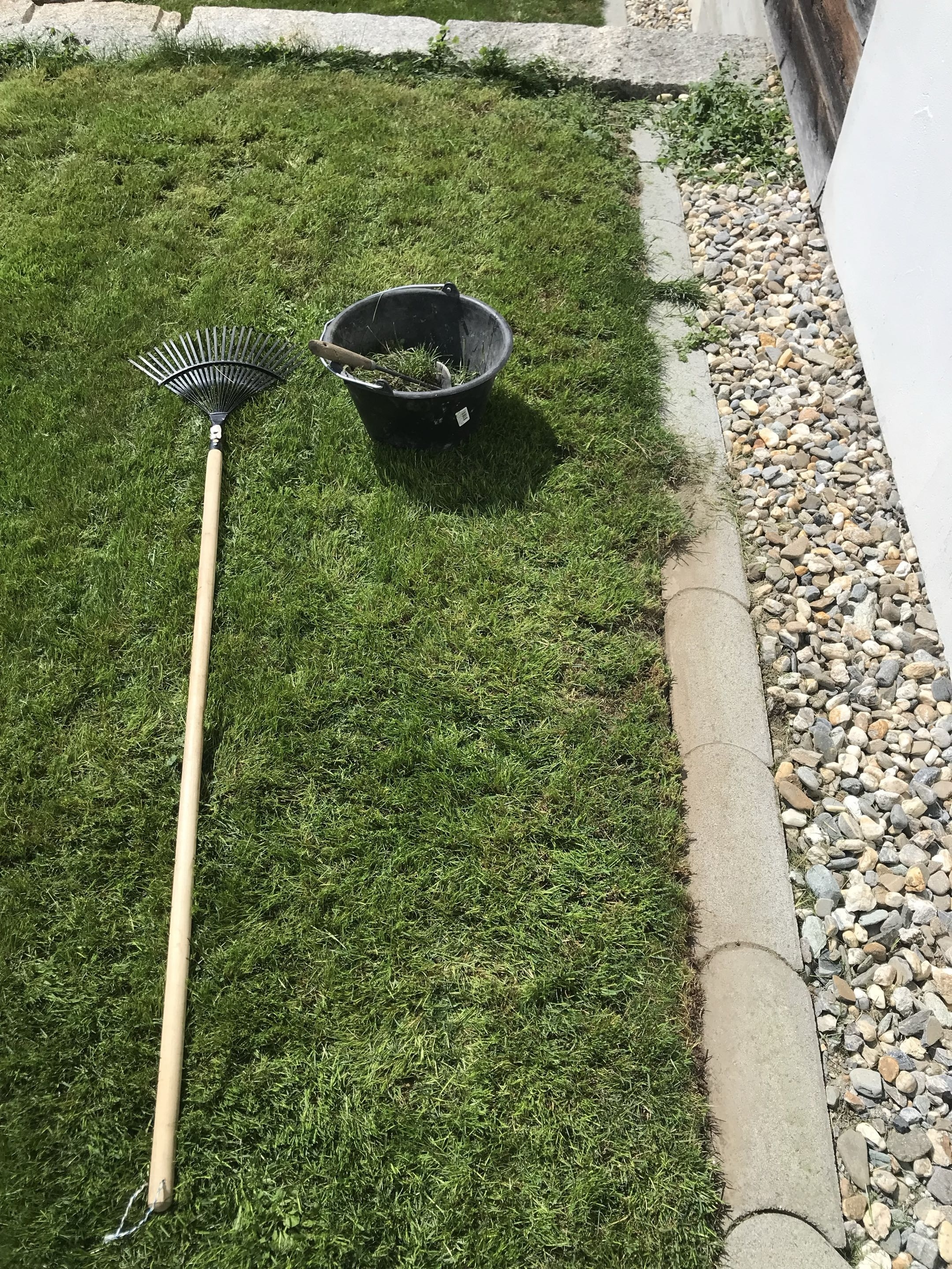 Gartenpflege, Gartenservice