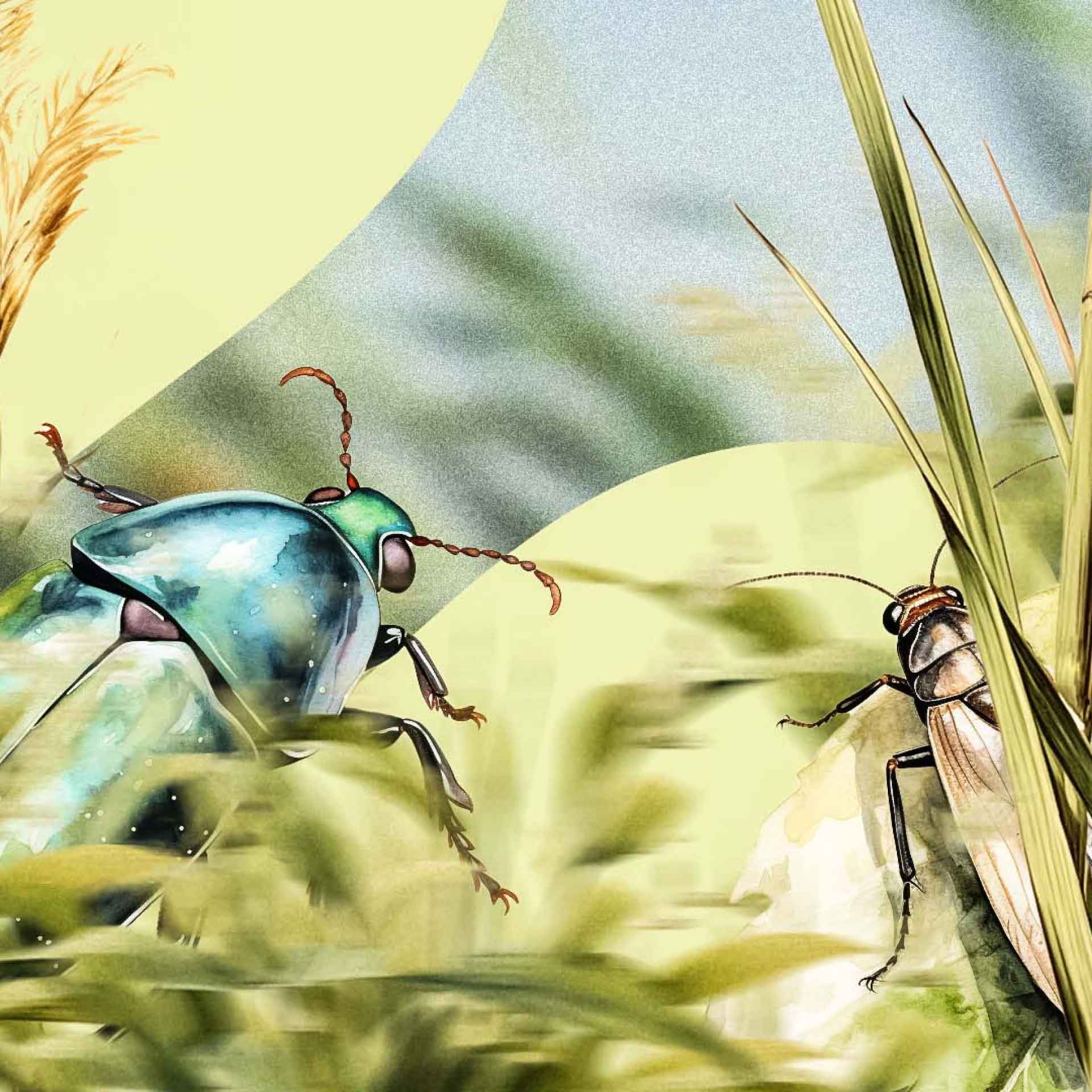 Illustration part of the Ponda's visual system showing  a metallic green beetle facing a brown cricket among grass and plants.