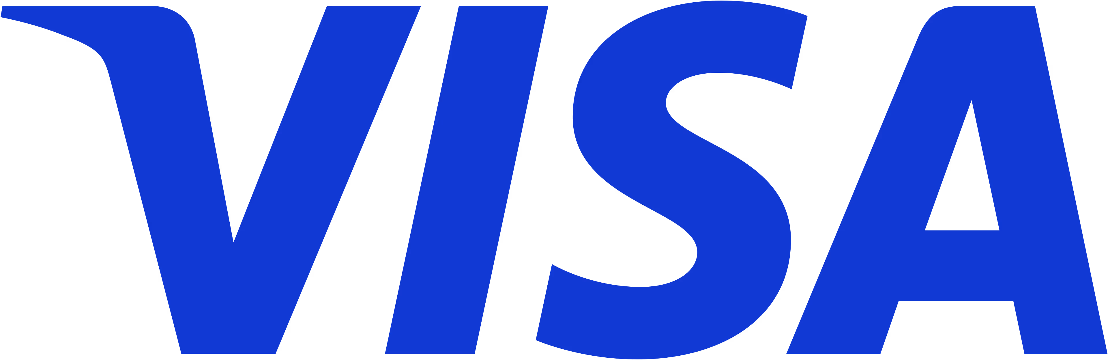 Blue Visa wordmark logo in bold uppercase letters.