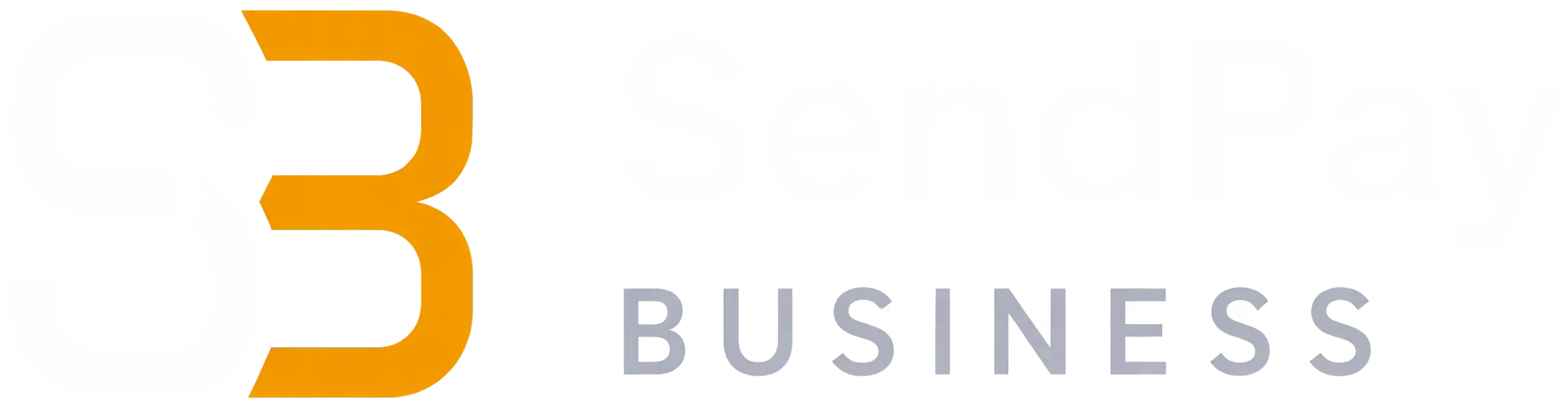 SendPay BUSINESS logo with stylized S and B letters in blue and orange.
