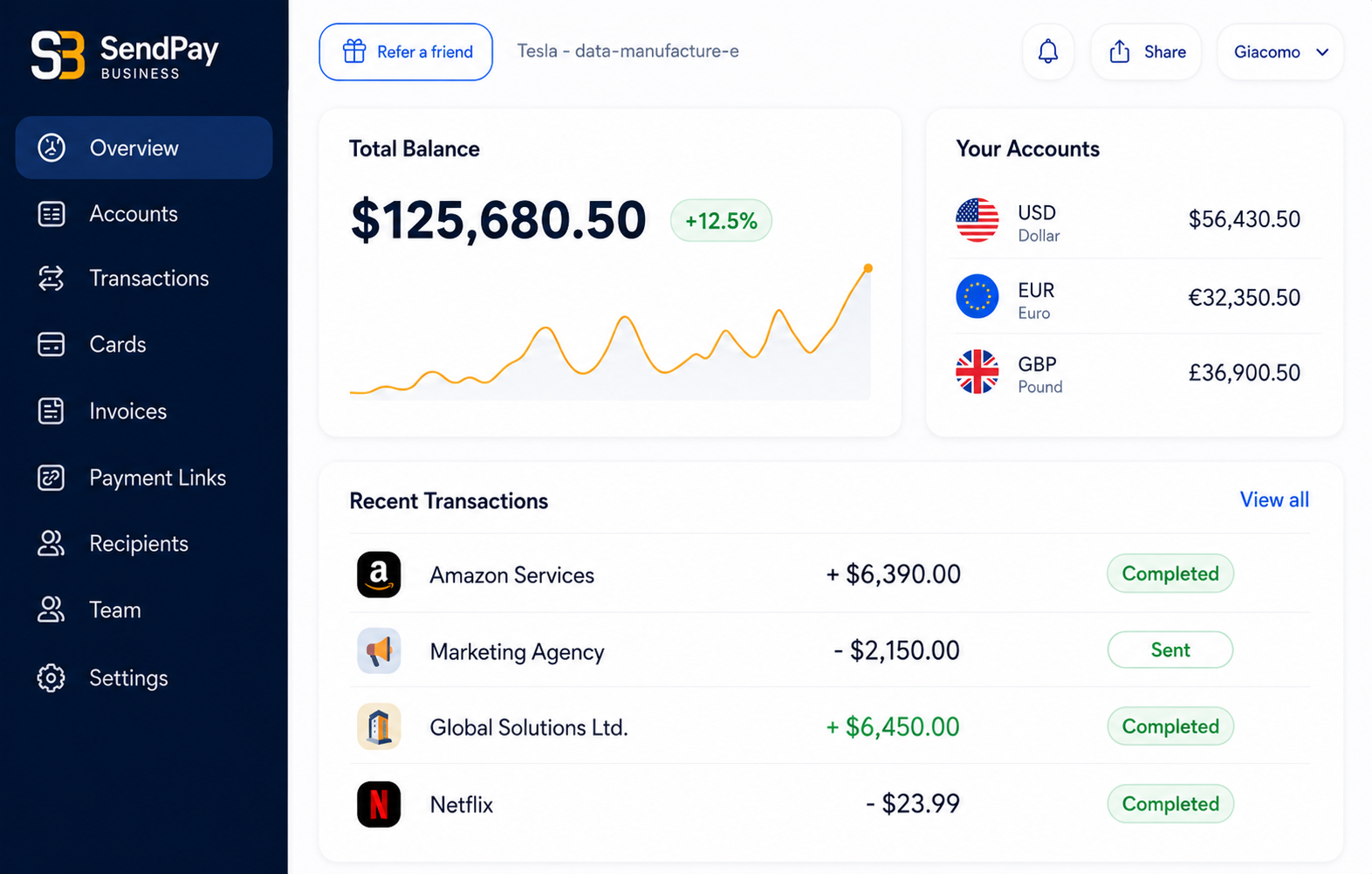 SendPay Business dashboard showing total balance of $125,680.50 with 12.5% increase, account balances in USD, EUR, GBP, and recent transactions including Amazon Services, Marketing Agency, Global Solutions Ltd., and Netflix.