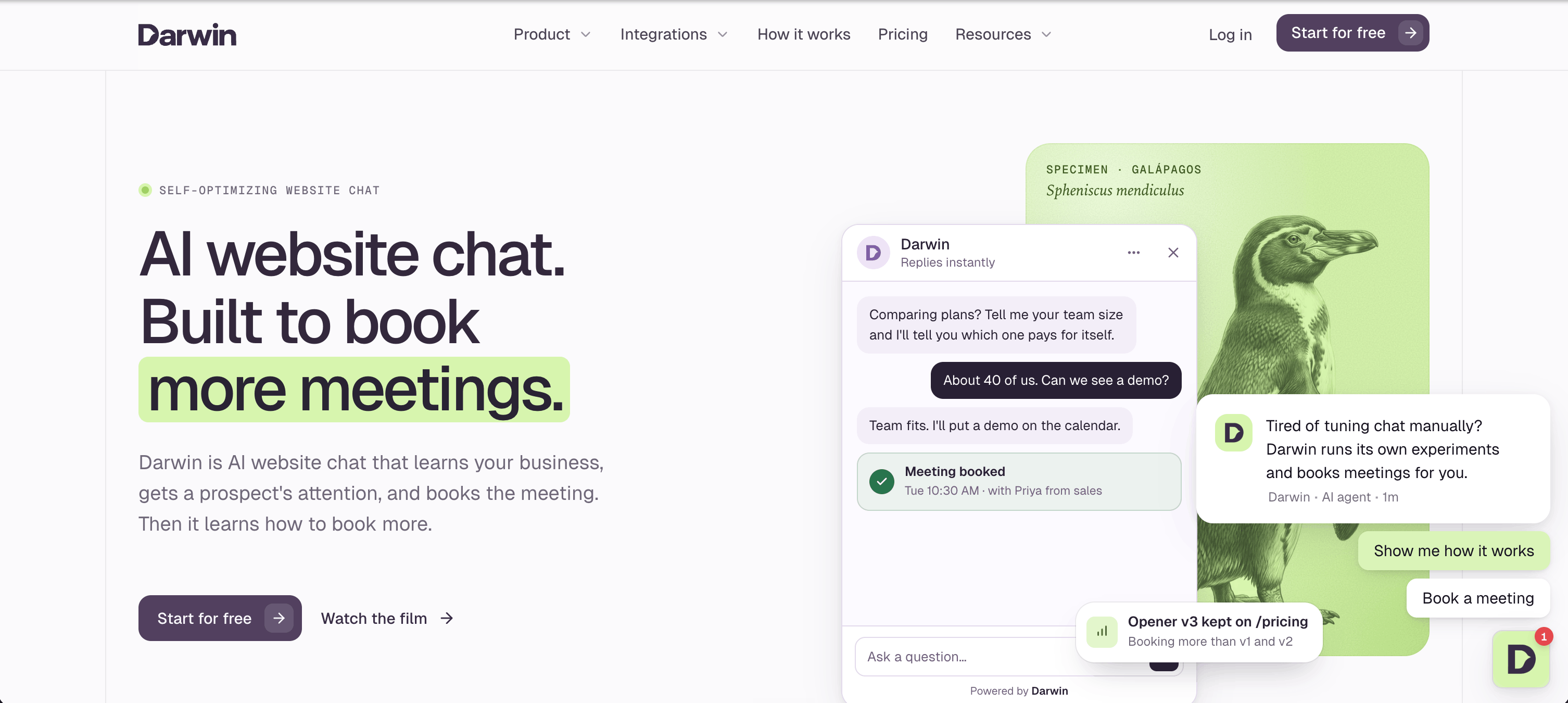 Darwin AI Chat Website Image 