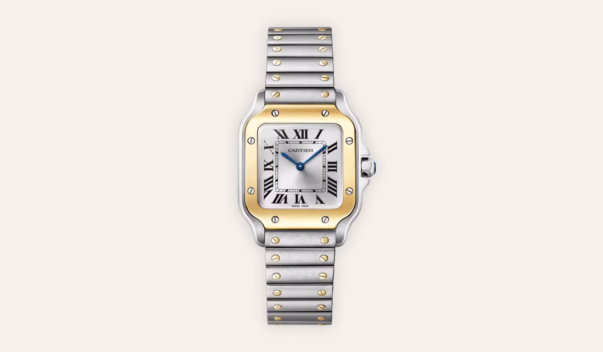 santos de cartier watch