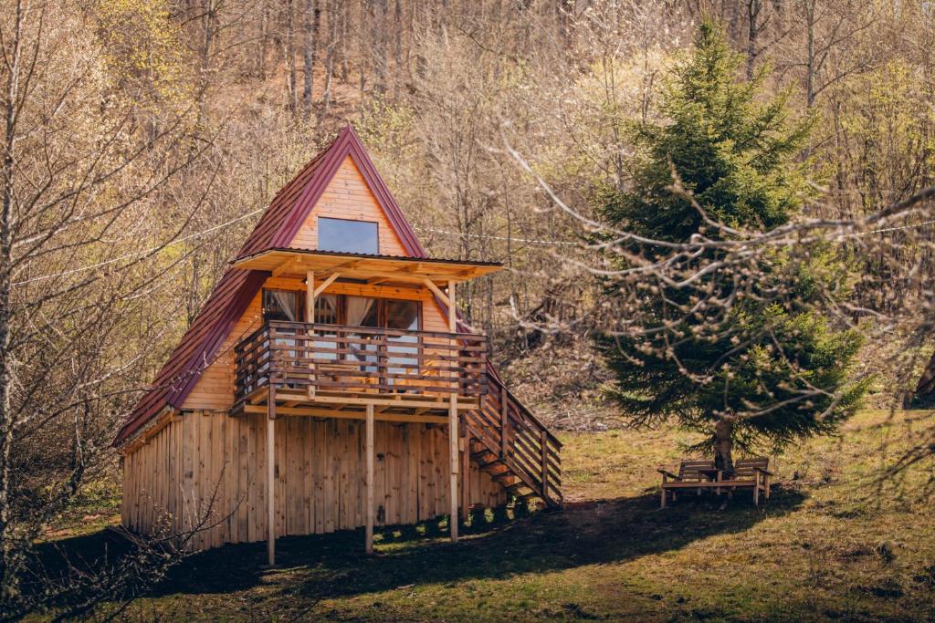 A frame cabin with pine tree daylight