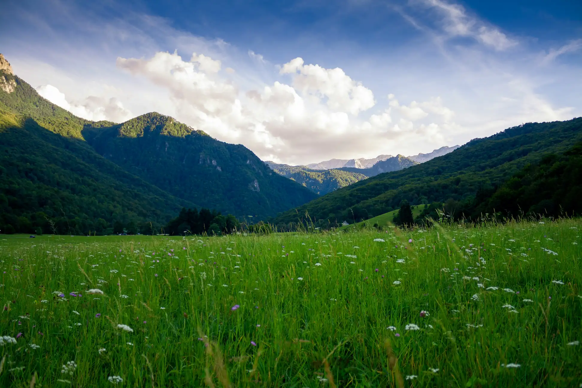 Sutjeska National Park nature