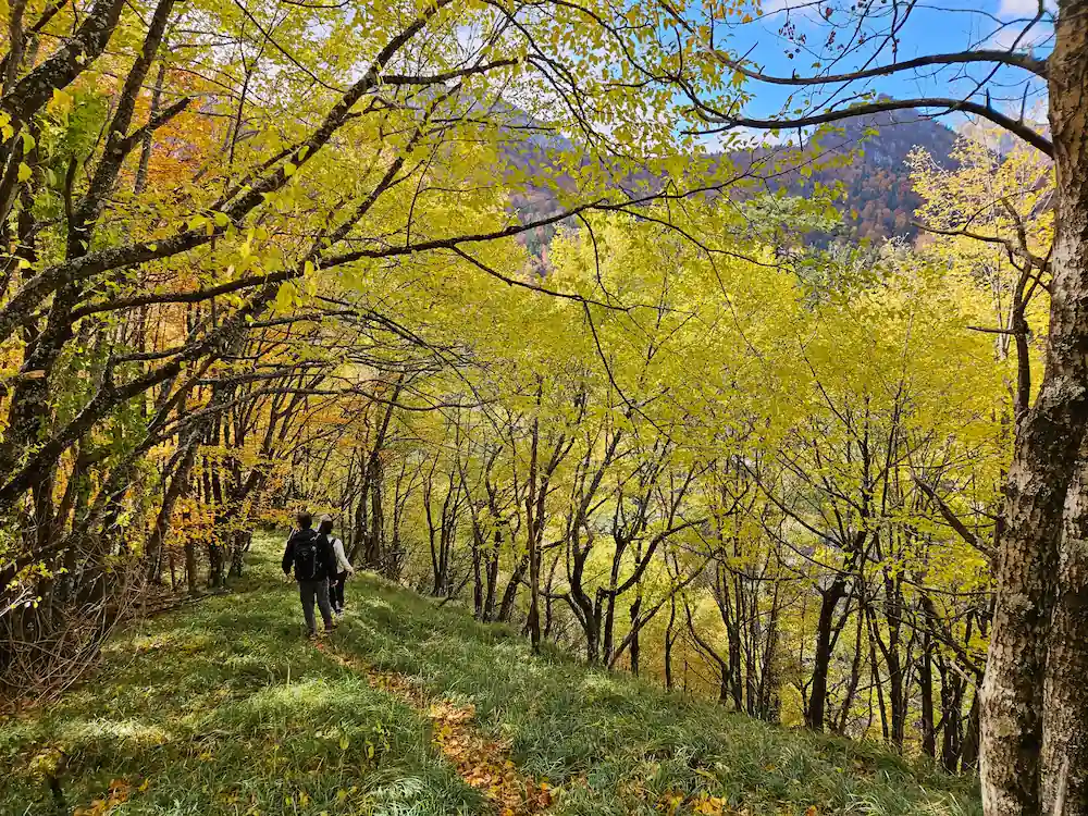 Couple hiking Perucica forest October Bosnia