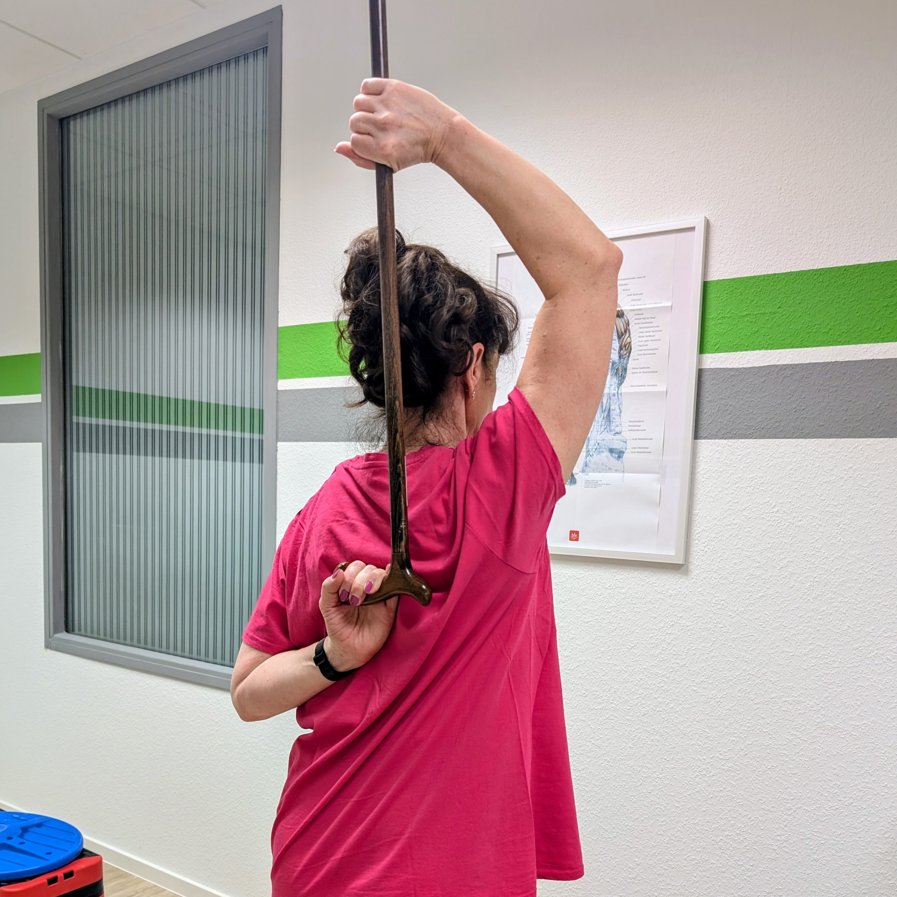 §20 Präventionskurse im FIT & FUN Gesundheitsstudio
