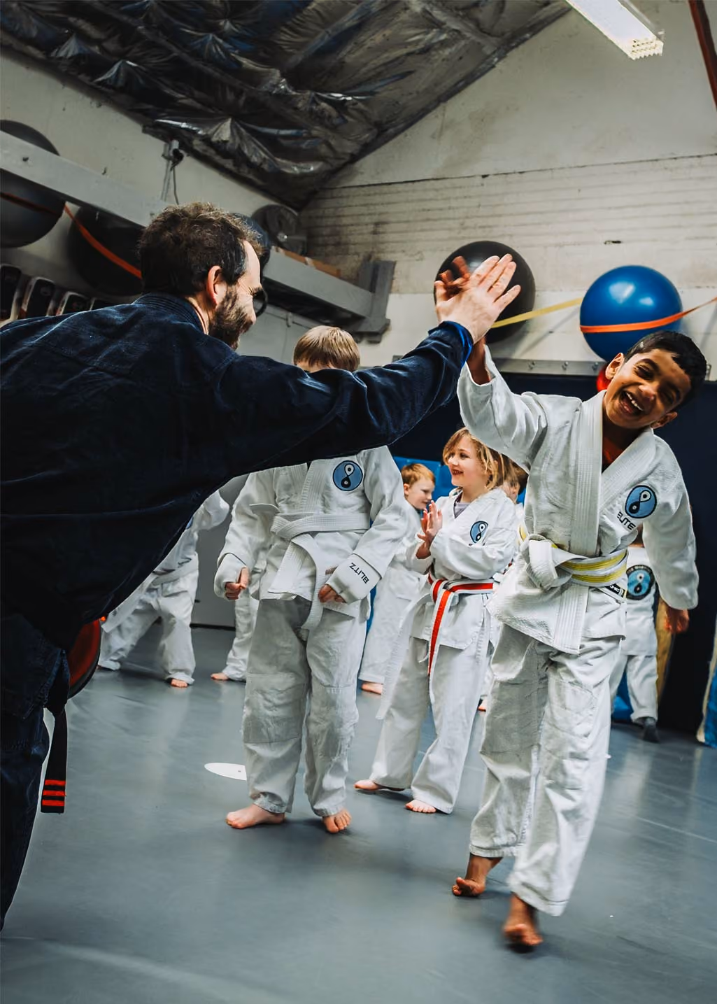 What Is the Little Lions Programme?
