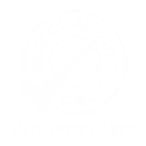 Safeguarding Code
