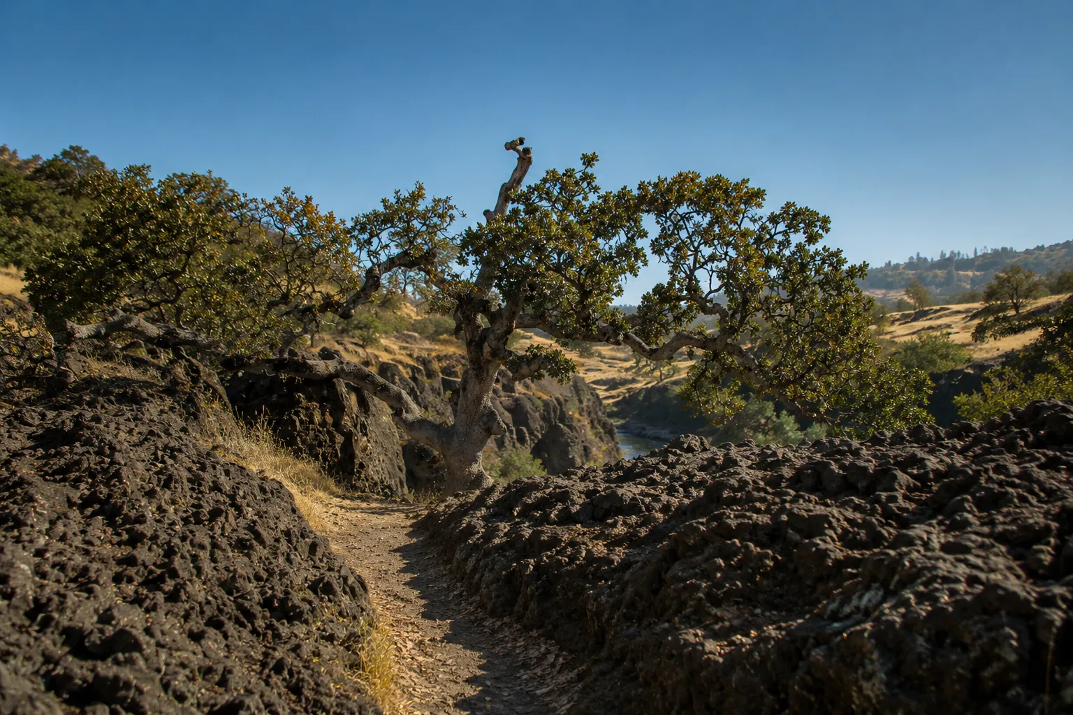 Large deep dirt hole in a desert landscape surrounded by dry bushes and sparse vegetation.