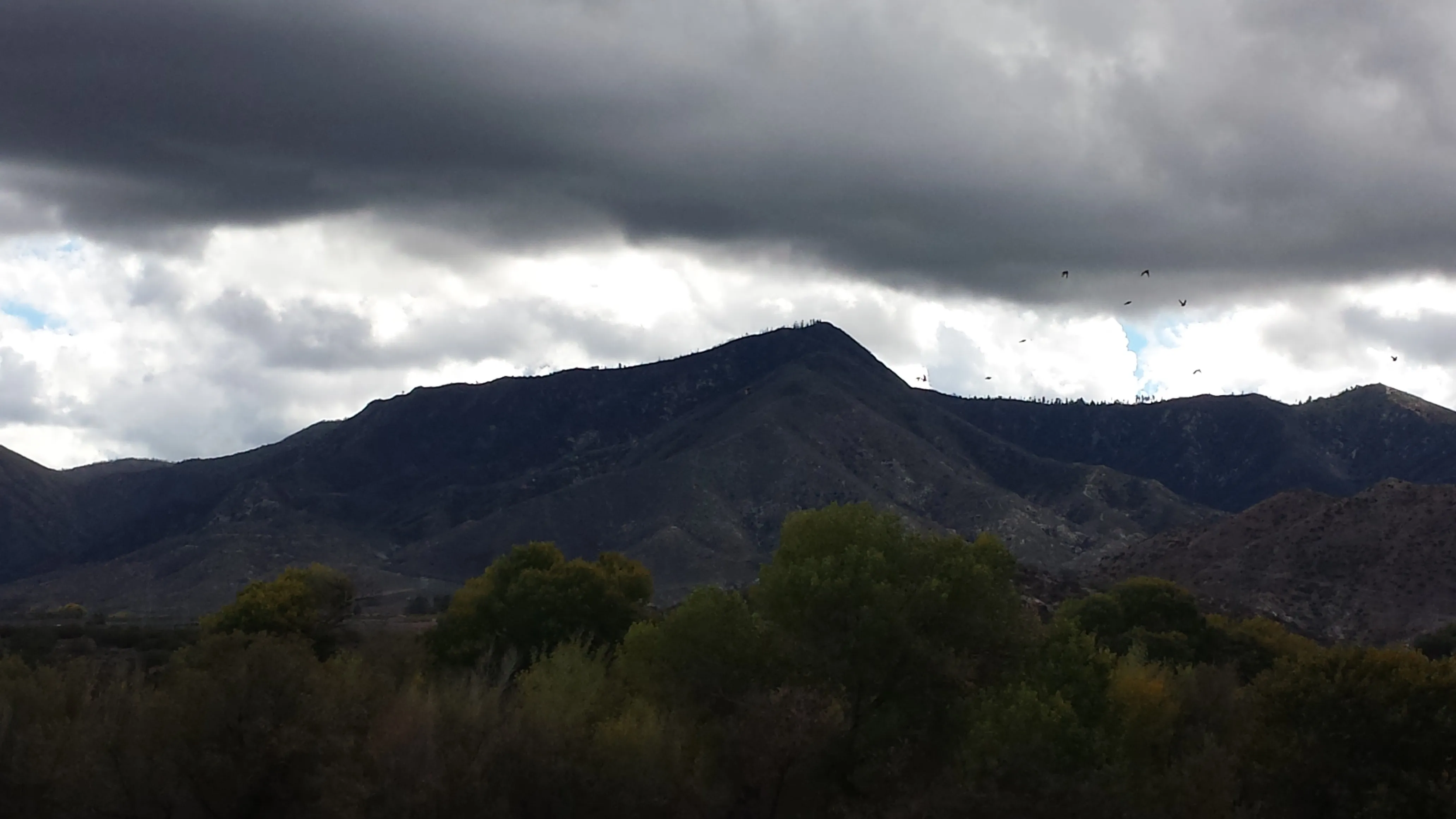 Birds flying in formation above staggered foothills beneath dark clouds, representing the alignment that keeps every part of a business moving toward a shared destination, even when the path is challenging and uncertain.
