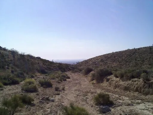 Desert wash winding through rugged terrain, representing the subtle patterns and natural pathways that reveal where attention, energy, and opportunity have shaped the business landscape.