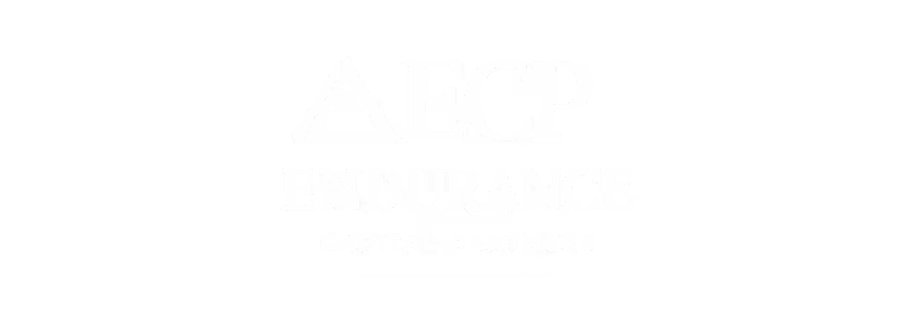 Logo of Endurance Capital Partners with a triangle symbol next to the acronym ECP above the company name.
