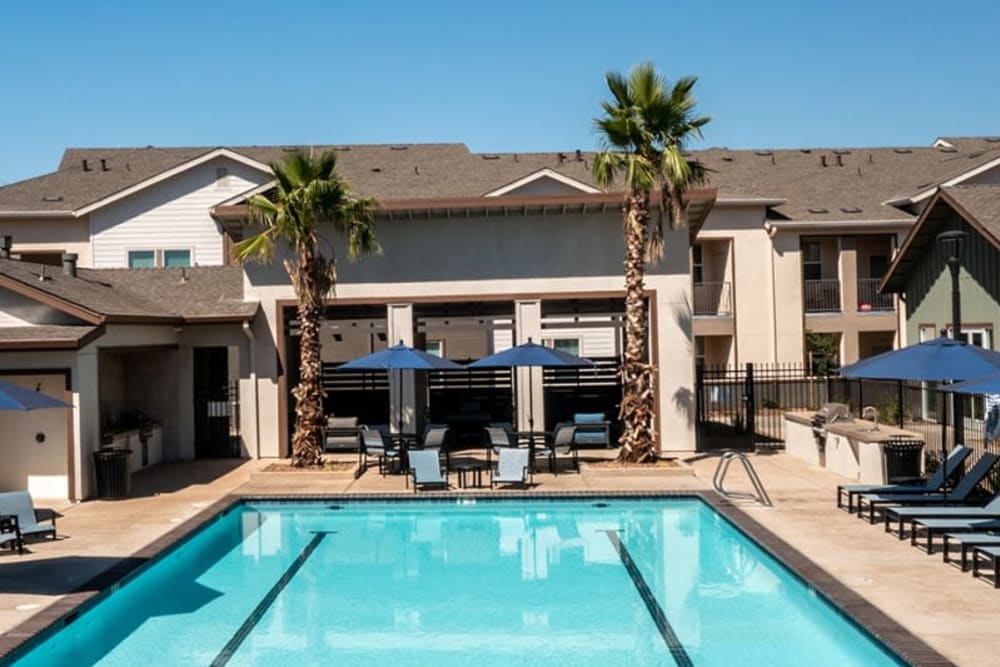 Swimming pool with palm trees and lounge chairs