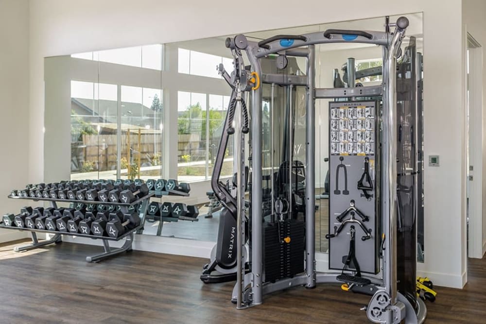 Gym with dumbbells and large windows