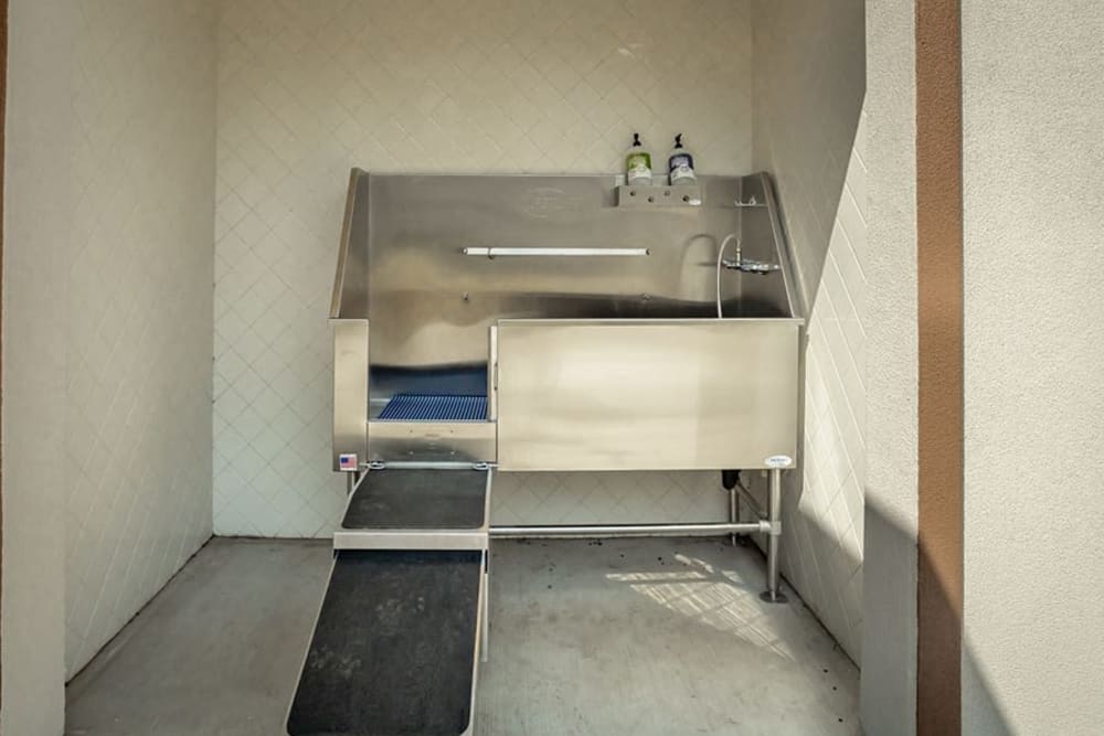 Pet wash station with sink