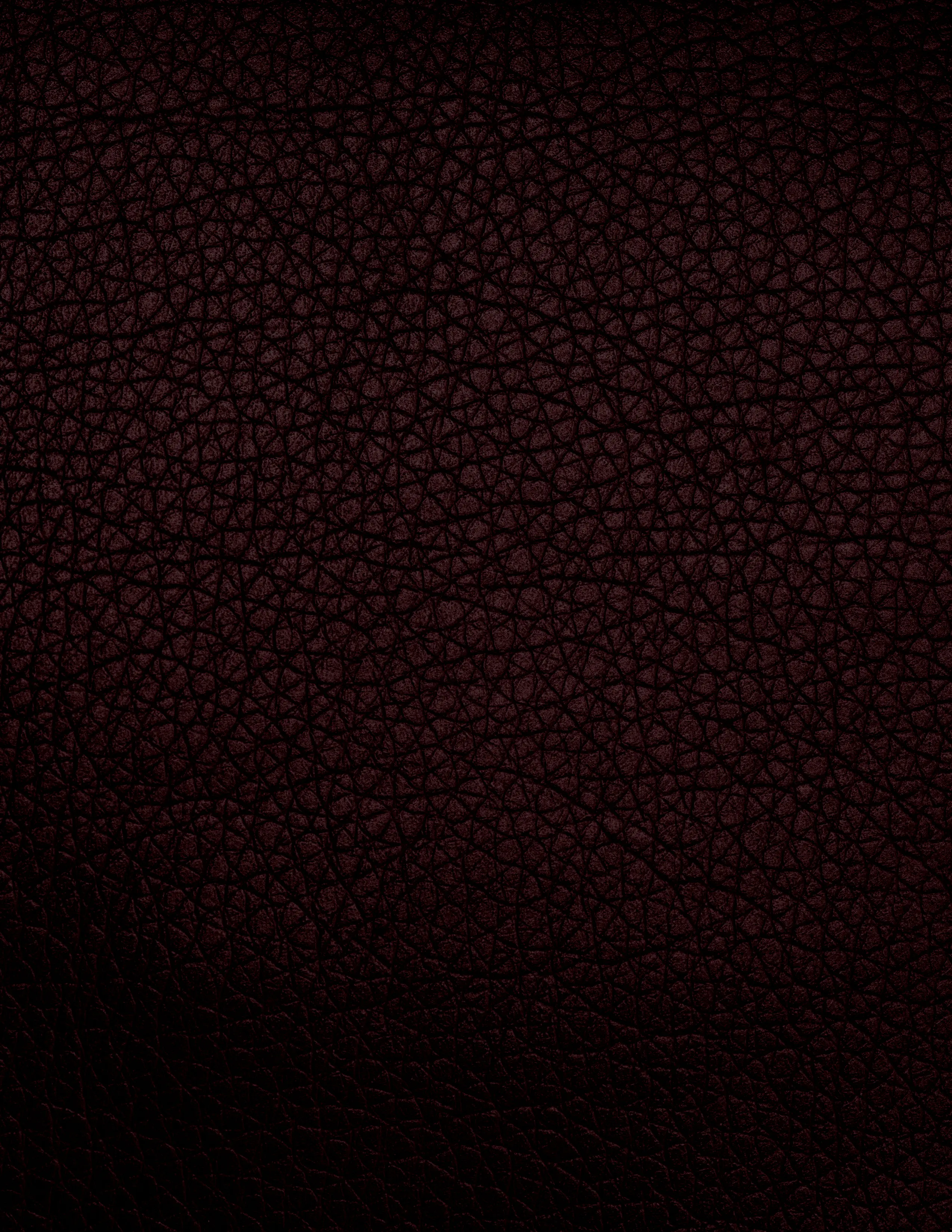 Close-up of black burnt wood with cracked texture and charred edges against a white background.