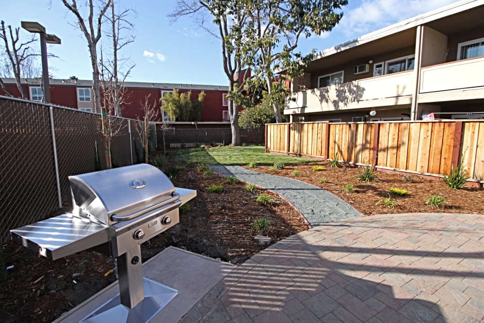 Grilling picnic area