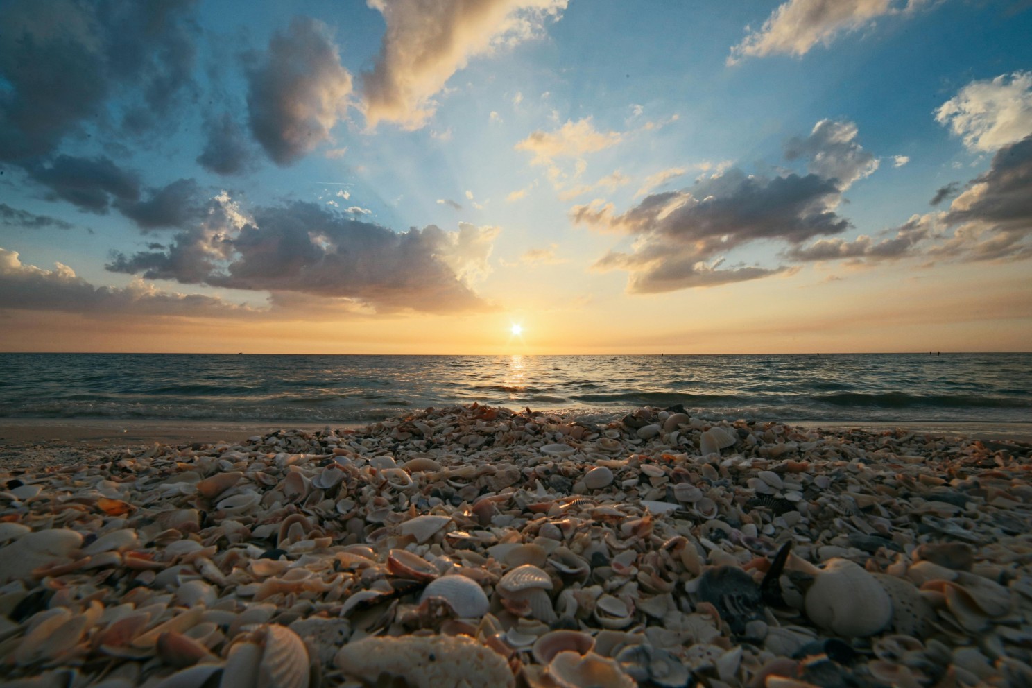 Photo of an ocean sunrise over a seashell beach