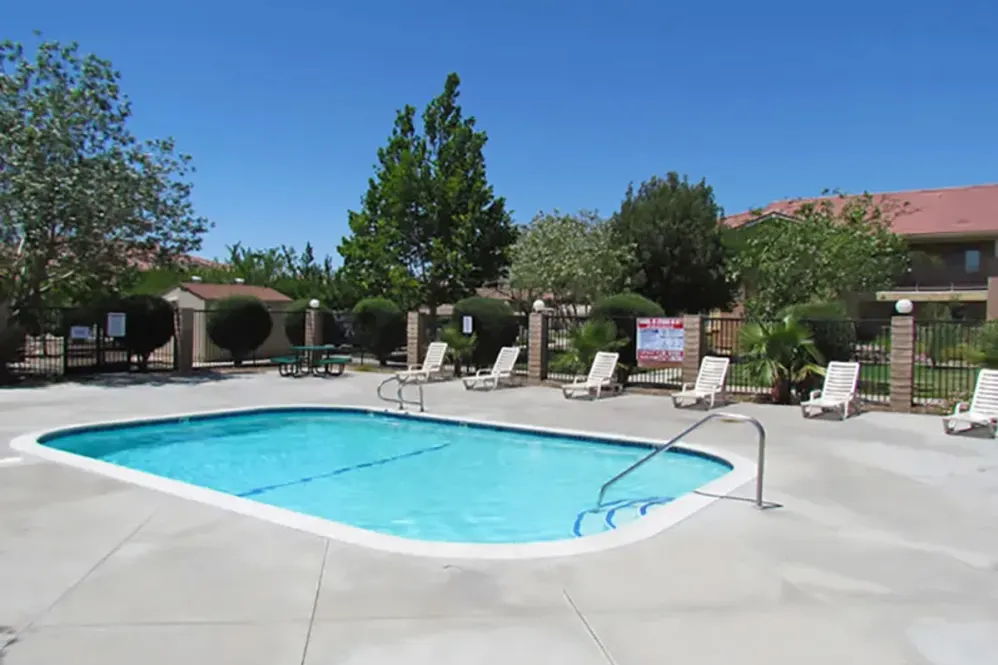 Pool and outdoor area