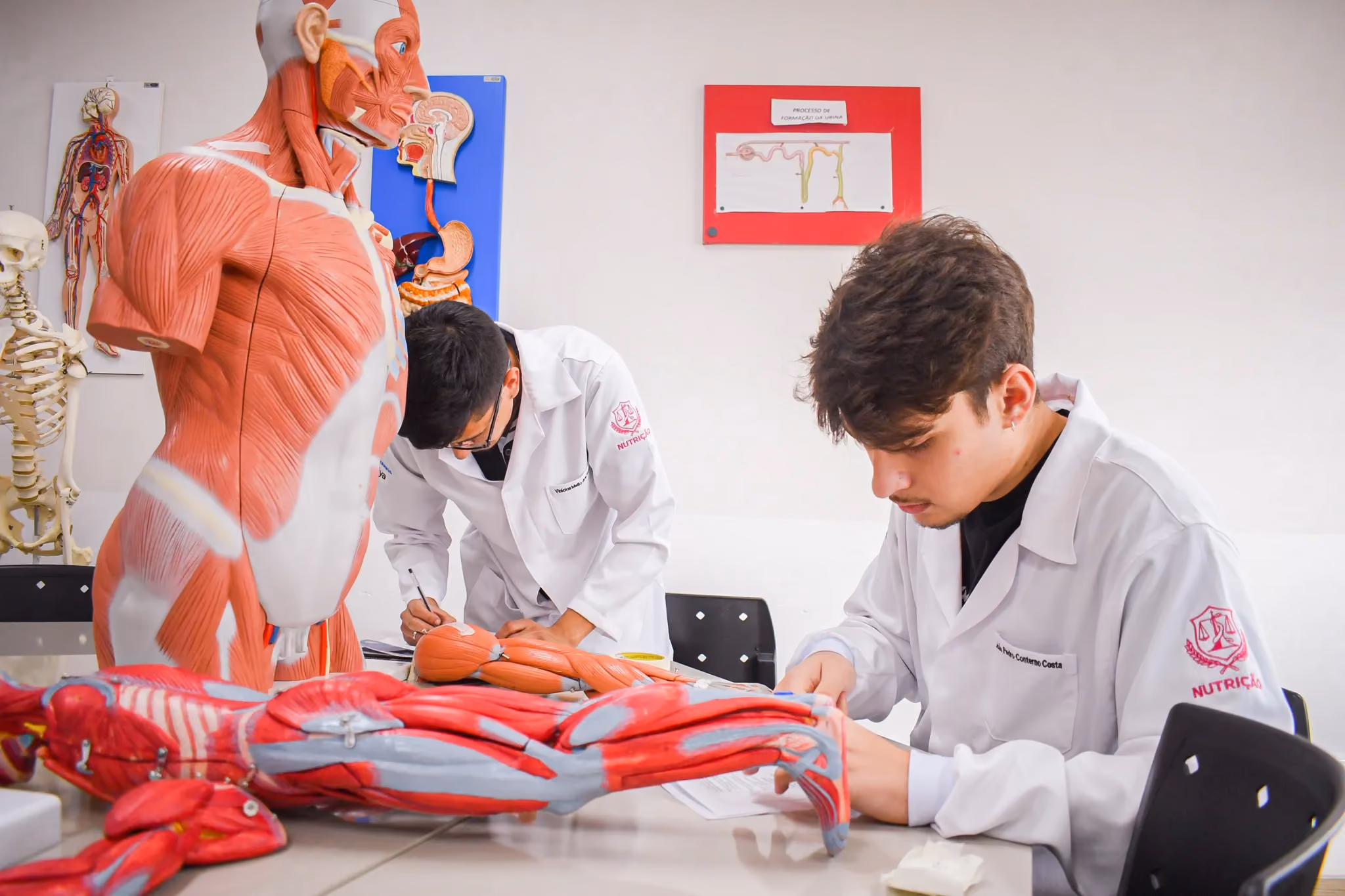 UNIDEP inicia cursos de Saúde EAD em parceria com a Unigranrio