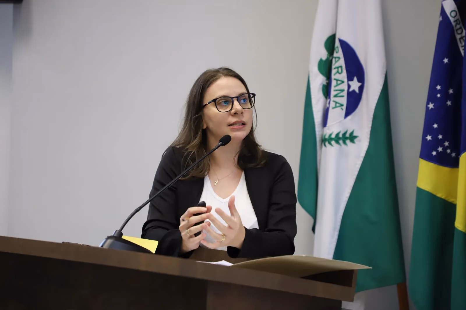 Docente da Afya Pato Branco leva à Câmara Municipal pesquisa sobre acesso à justiça de mulheres em situação de violência