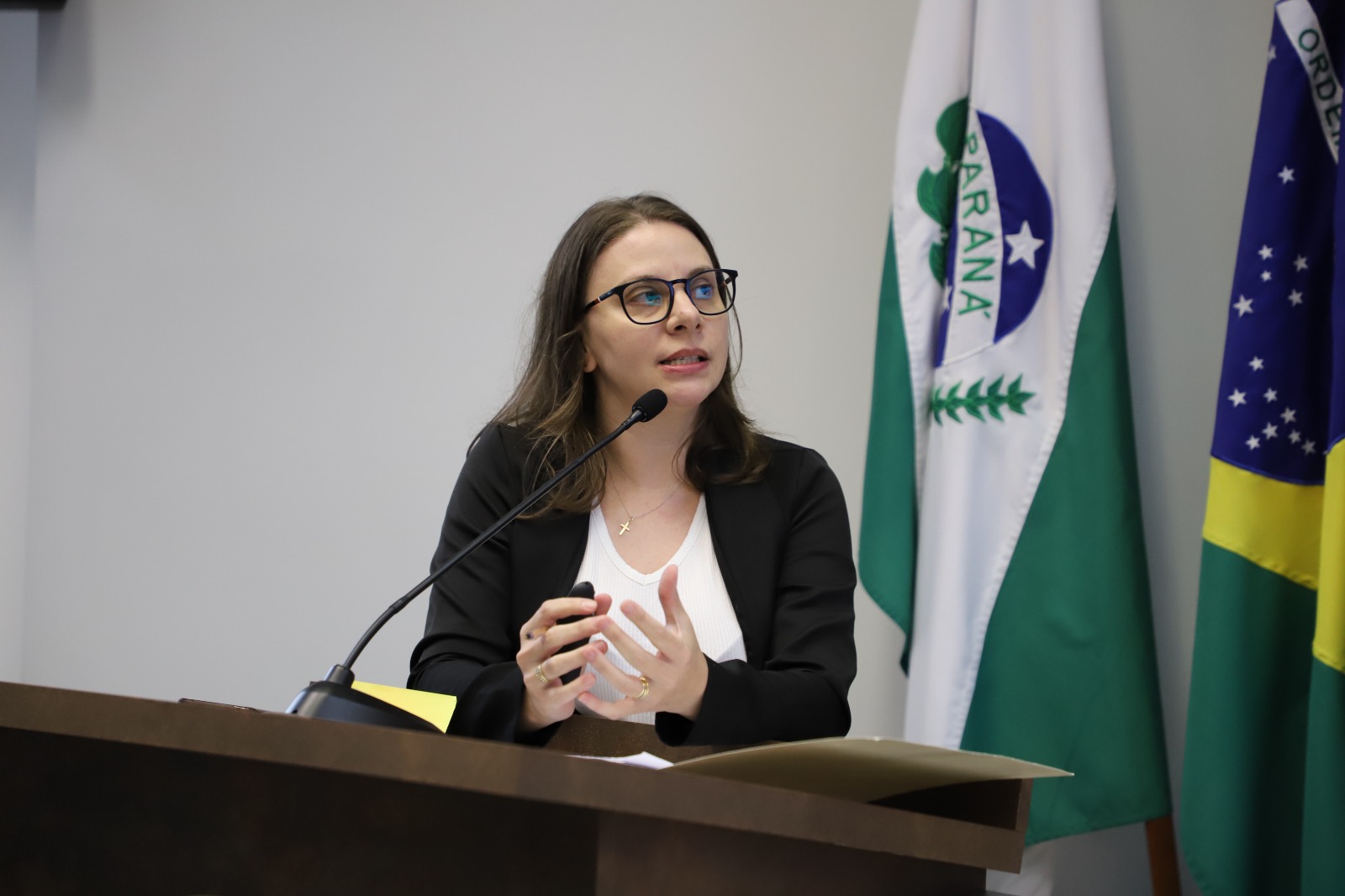 Docente da Afya Pato Branco leva à Câmara Municipal pesquisa sobre acesso à justiça de mulheres em situação de violência