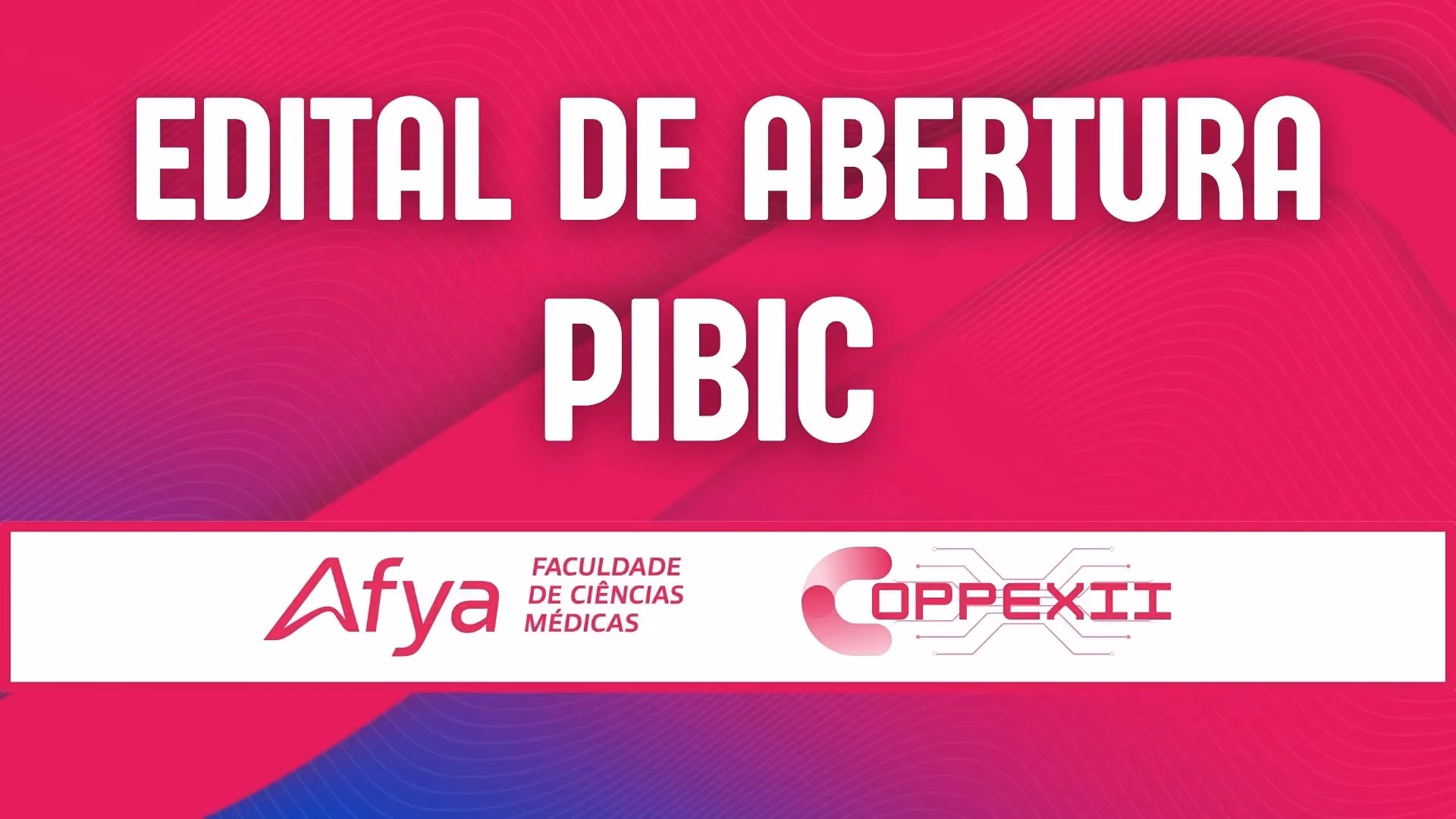 Edital PIBIC n° 04/2024 - seleção de projetos de iniciação científica 2024/2025