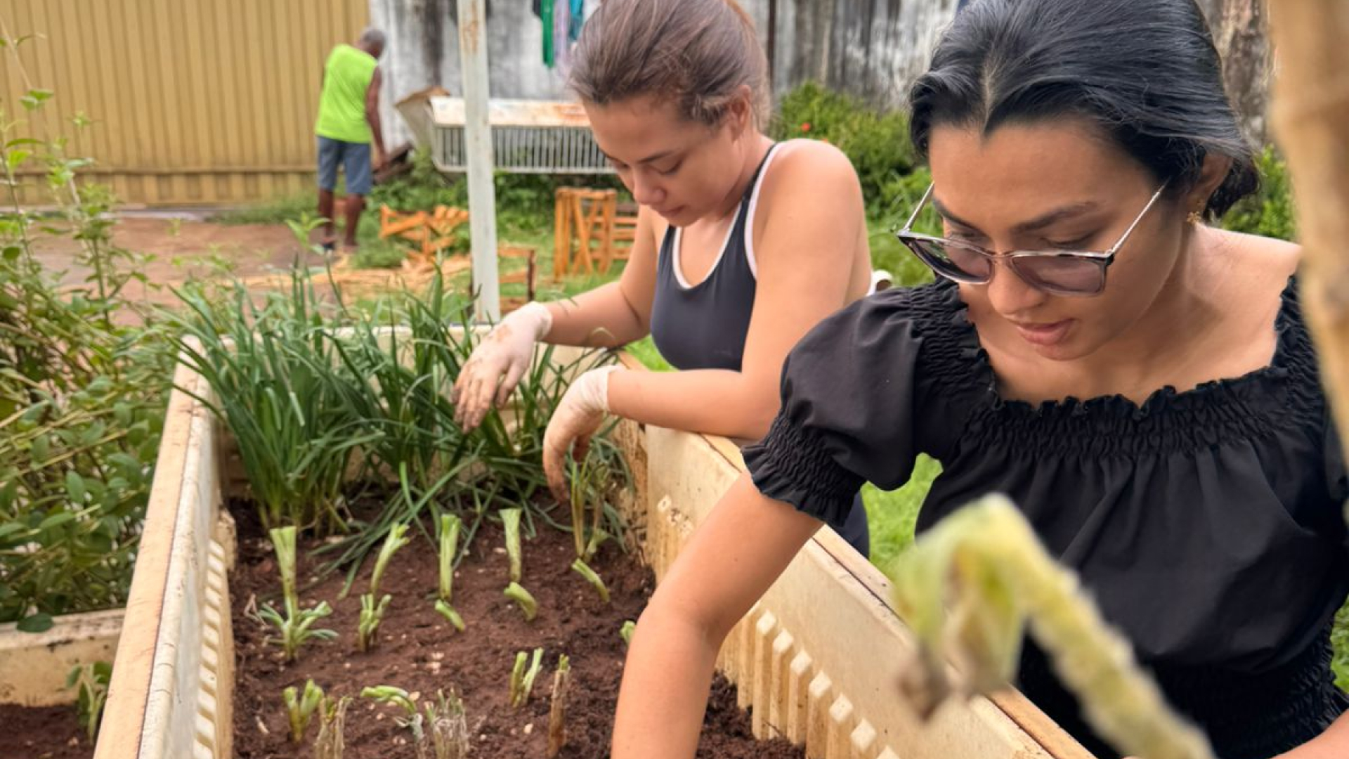 Projeto "Espaço Verde: Renovação e Cultivo de Mudas em Jardim" transforma área negligenciada em oásis de bem-estar e sustentabilidade