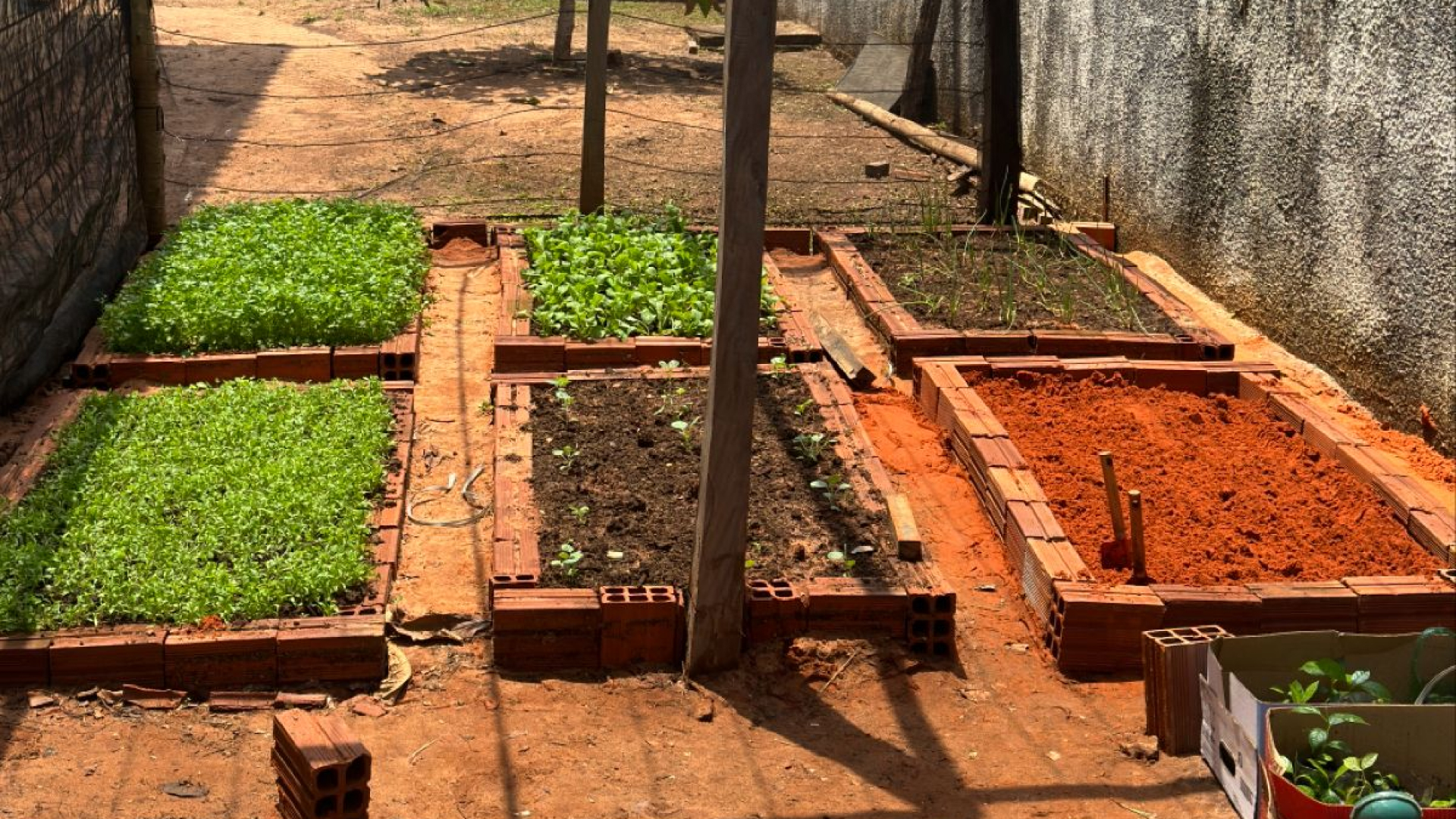 Projeto "Horta Sustentável" promove educação ambiental e interdisciplinaridade no Colégio Militar