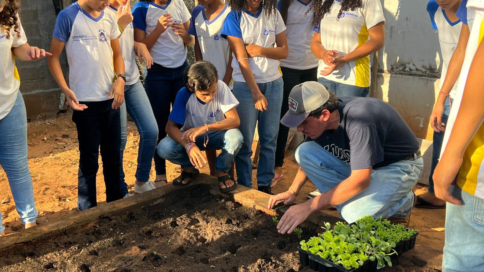 Acadêmicos de Agronomia do UNITPAC realizam ação beneficente com produção de alface para a APAE