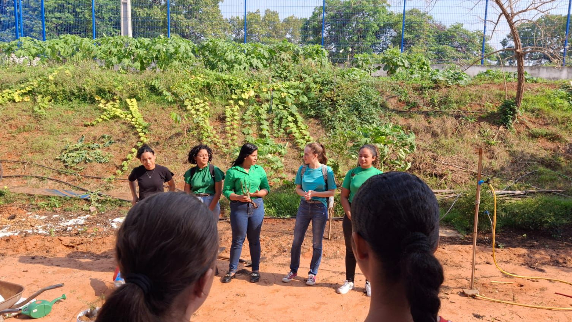 Alunos do 2º Período de Farmácia Realizam Projeto de Extensão sobre Plantas Medicinais