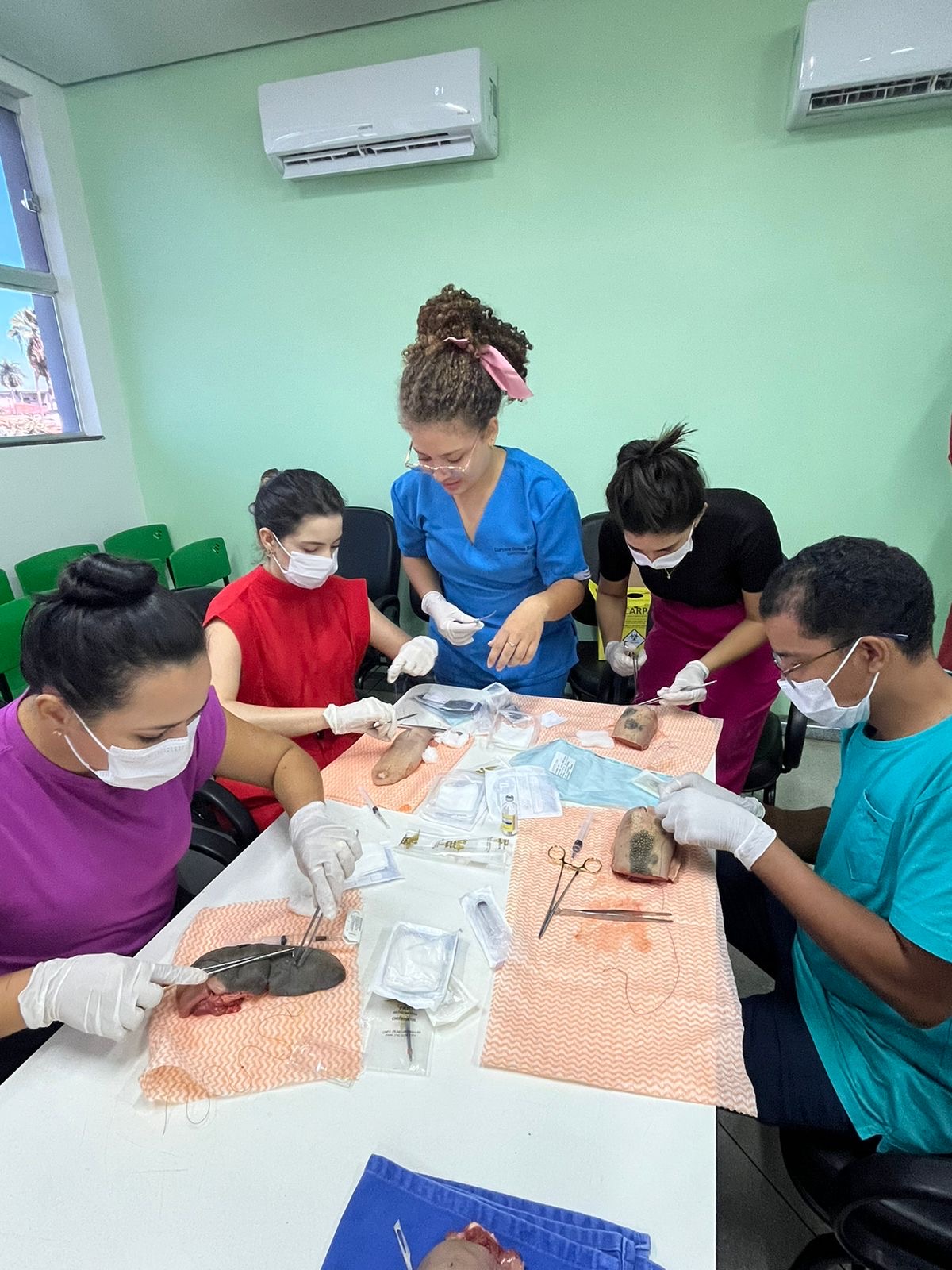 Curso de Suturas e Anestesia Local: Capacitação teórica e prática com a Liga LAECME